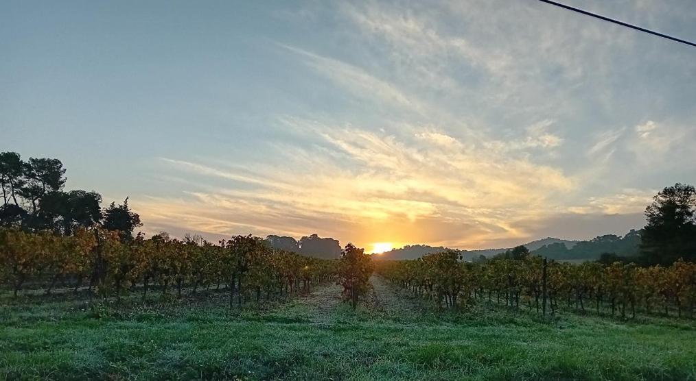 Bed & Breakfast Domaine La Sauzette Cazilhac (Aude)