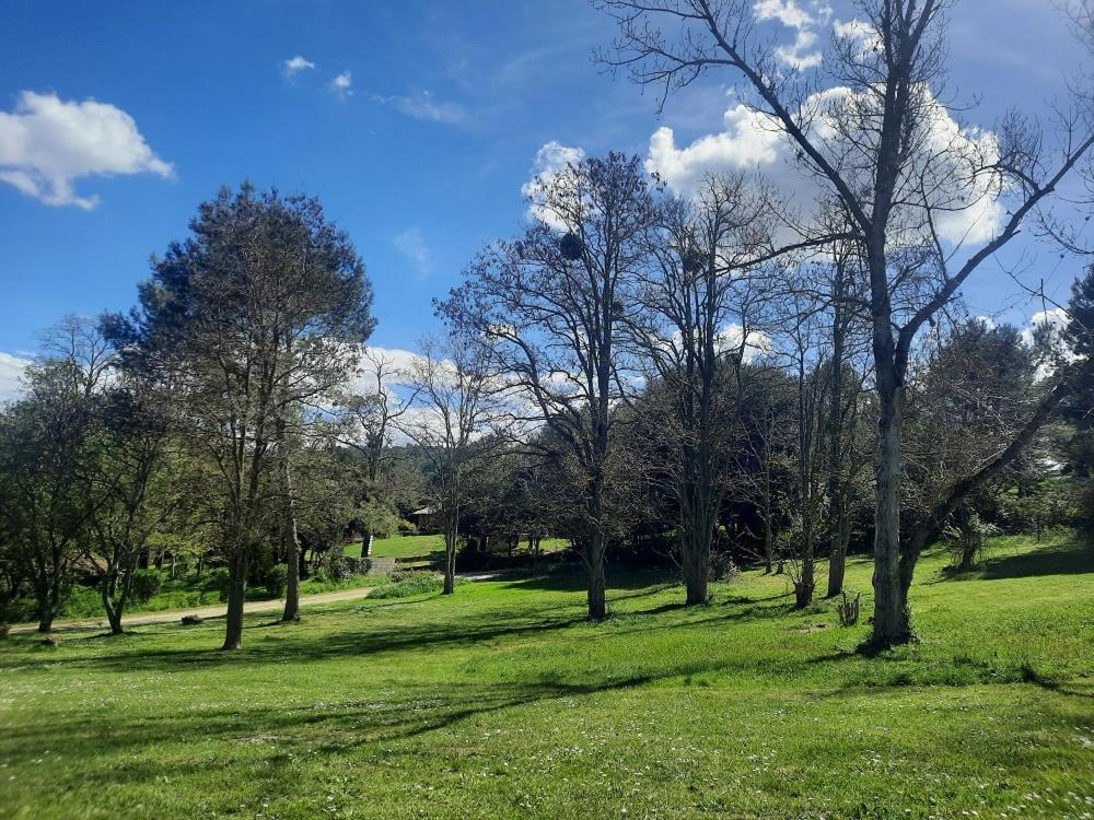 Domaine La Sauzette